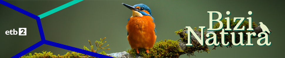 Bizi Natura