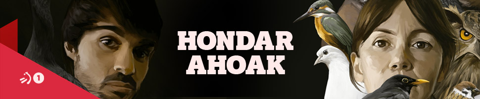 Hondar Ahoak