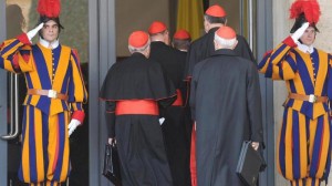 Kardinalak cardenales efe