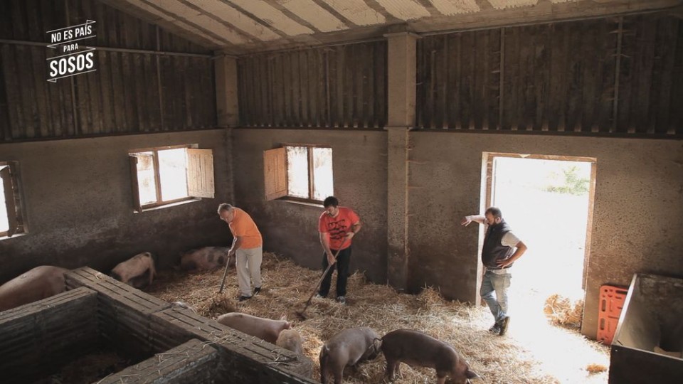 Ander y Ramón, limpiando una granja de cerdos.