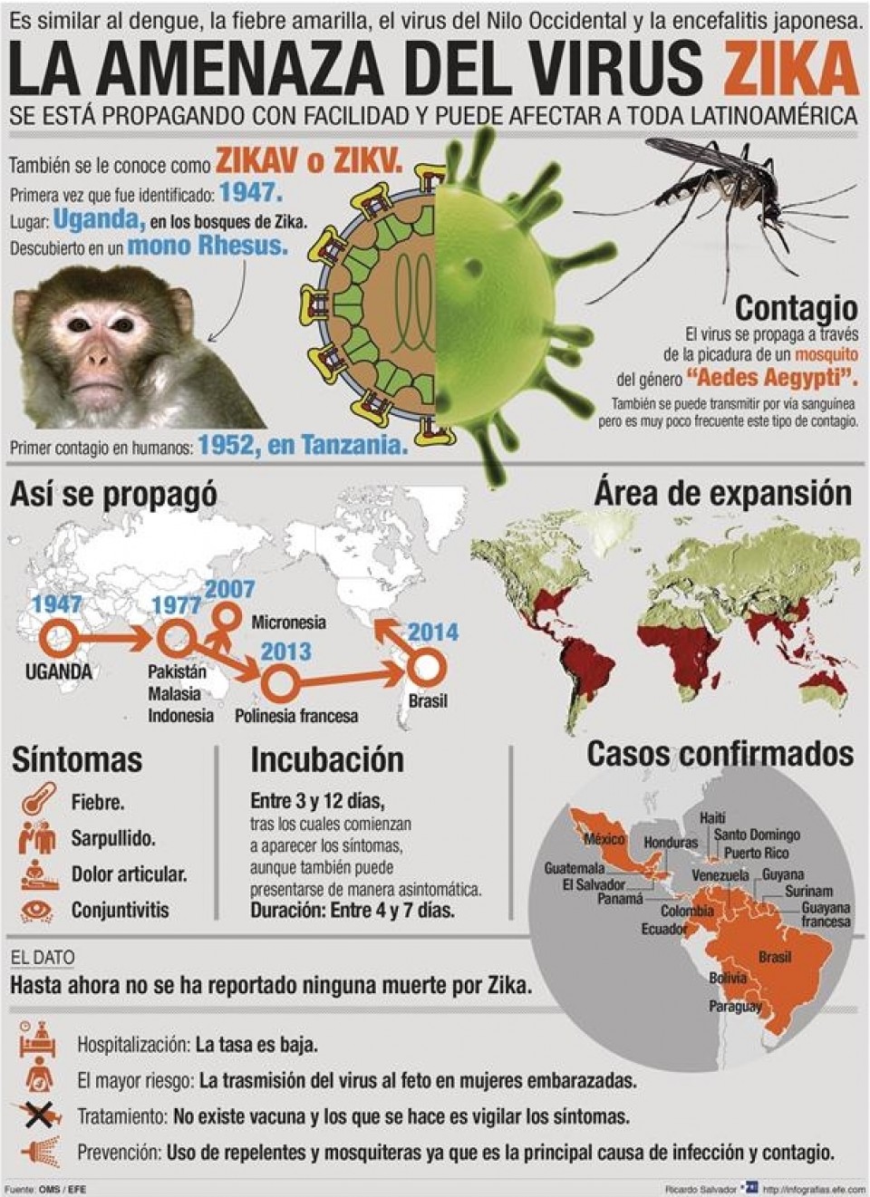 zika infografia gaztelaniaz EFE