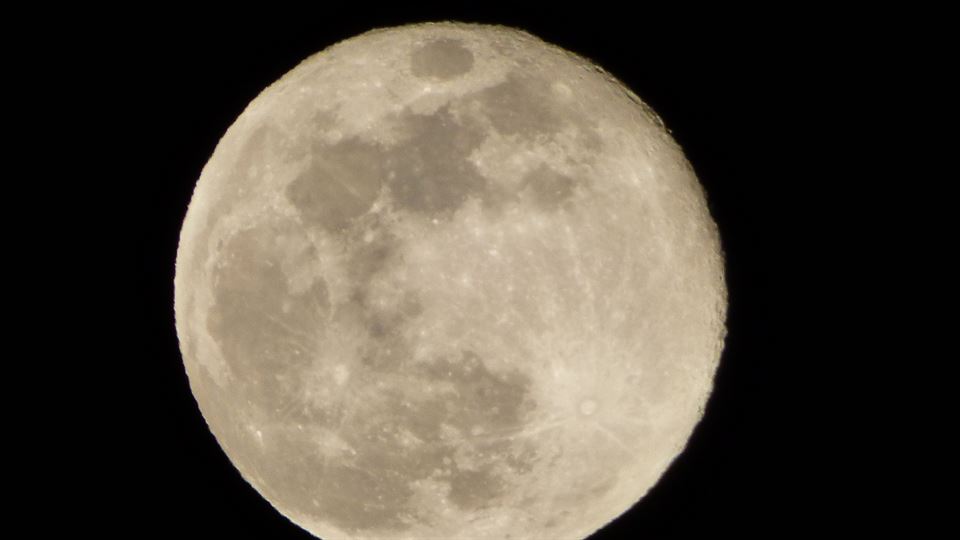 Luna de gusano en Leitza. Foto: Josu Sukuntza.