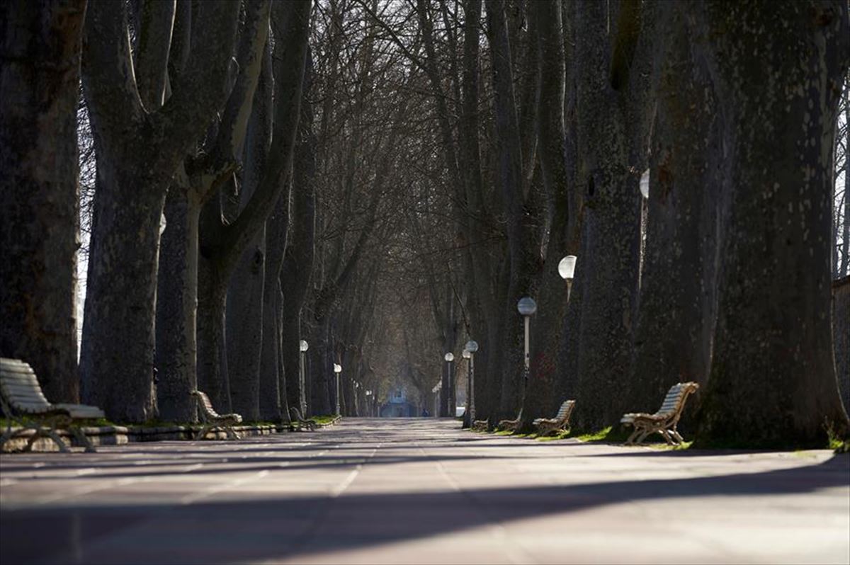 Calles y parques de Vitoria vacíos este domingo. Foto: EFE