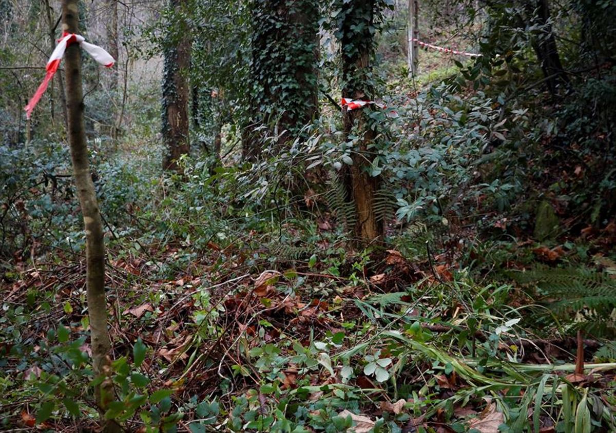 El cuerpo de Pujana fue hallado en una zona de matorrales de Aizarnazabal. 