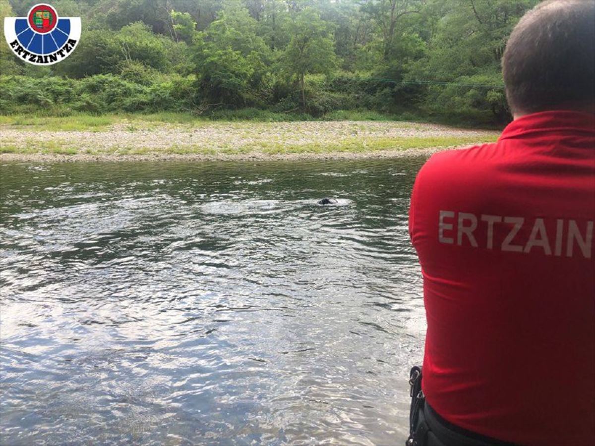 Efectivos de búsqueda y rescate en el río Bidasoa, en Irun, en agosto de 2021. EiTB Media. 