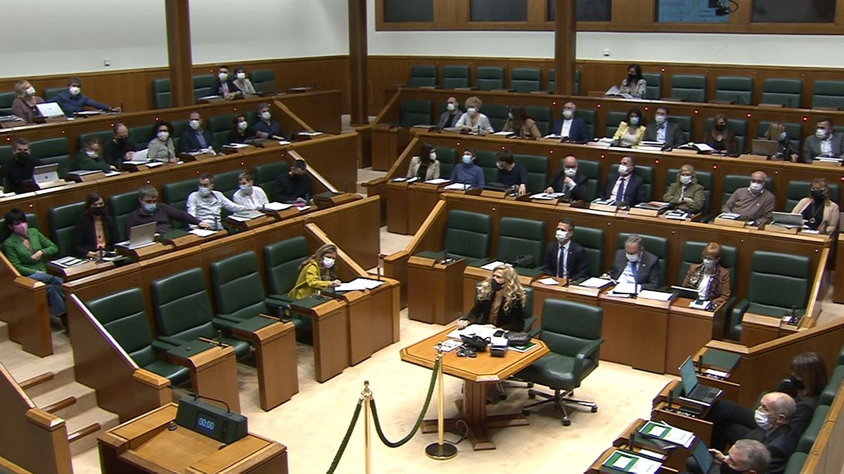 Votación en el Parlamento Vasco. Imagen obtenida de un vídeo del Parlamento Vasco.