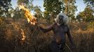  Matthew Abbotten "Saving Forests with Fire"