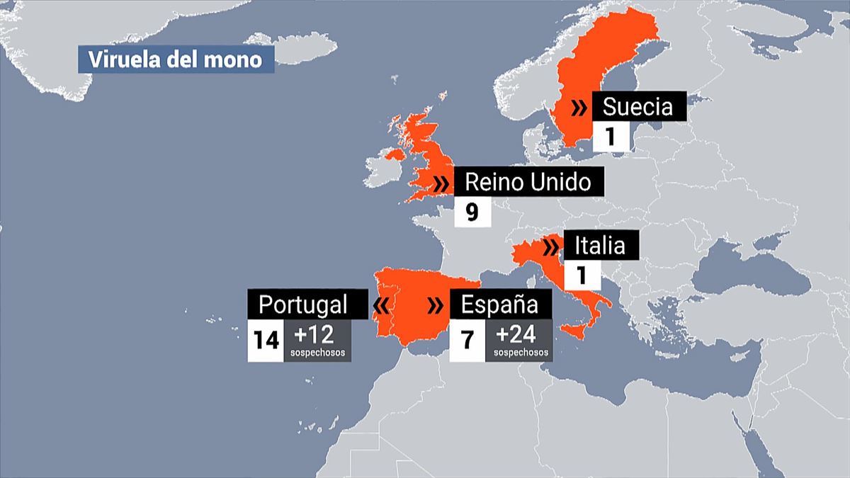 El alcance de la viruela del mono en Europa. Imagen extraída de un vídeo de EITB MEDIA.