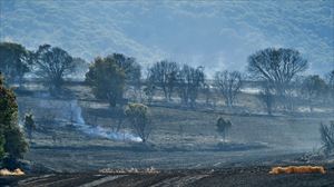 El incendio registrado en Mendoza (Vitoria-Gasteiz). Foto de archivo: EFE