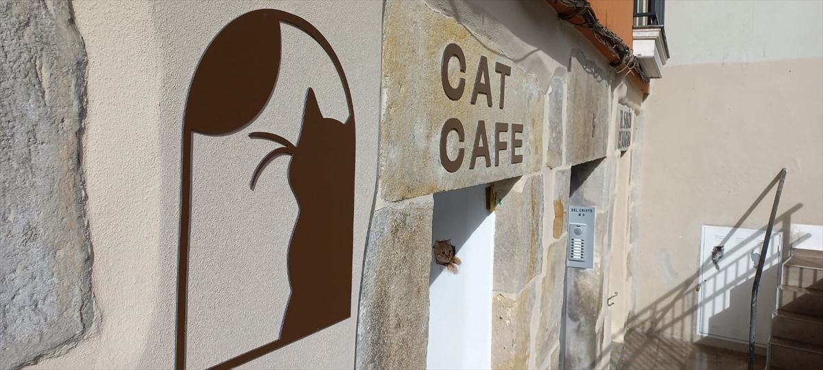 El bar Cat Café de Bilbao. Foto: EITB Media