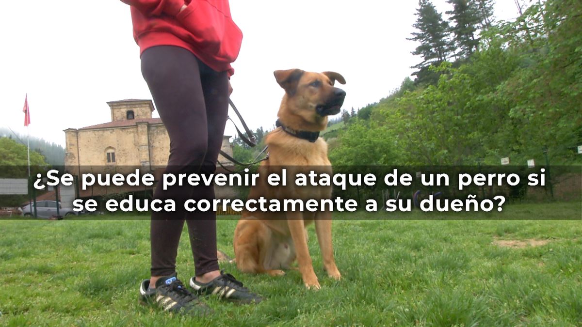 Xabi Arrese, instructor caninoen Protección Civil