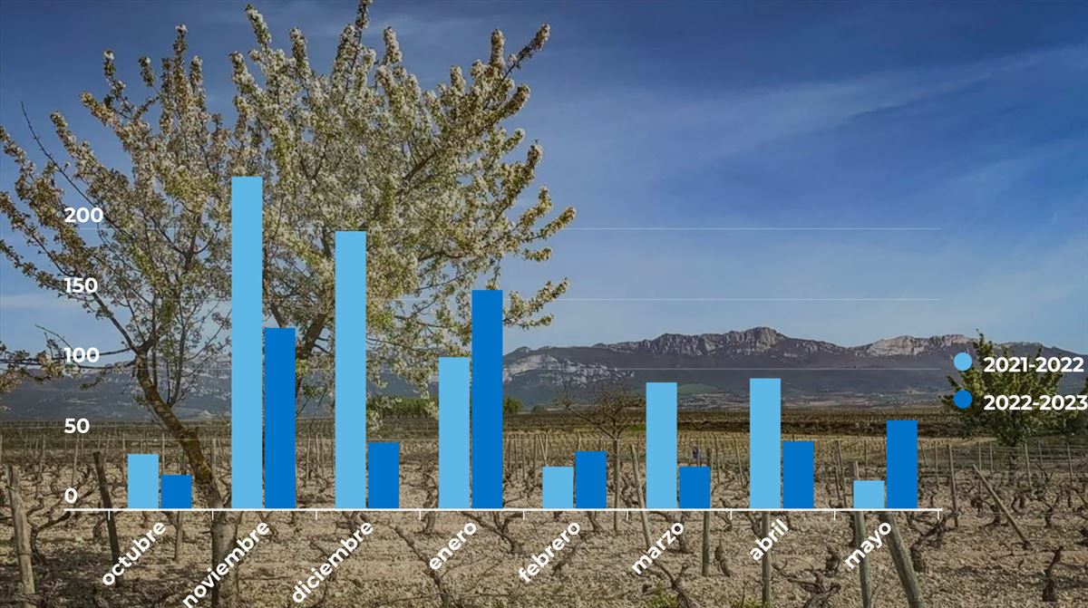 A excepción de enero, febrero y mayo, este año hidrológico ha llovido menos que el anterior. EITB