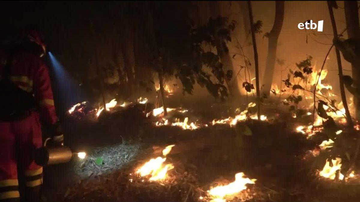 Los incendios continúan sin control en Tenerife y ya han ardido 5.000 hectáreas