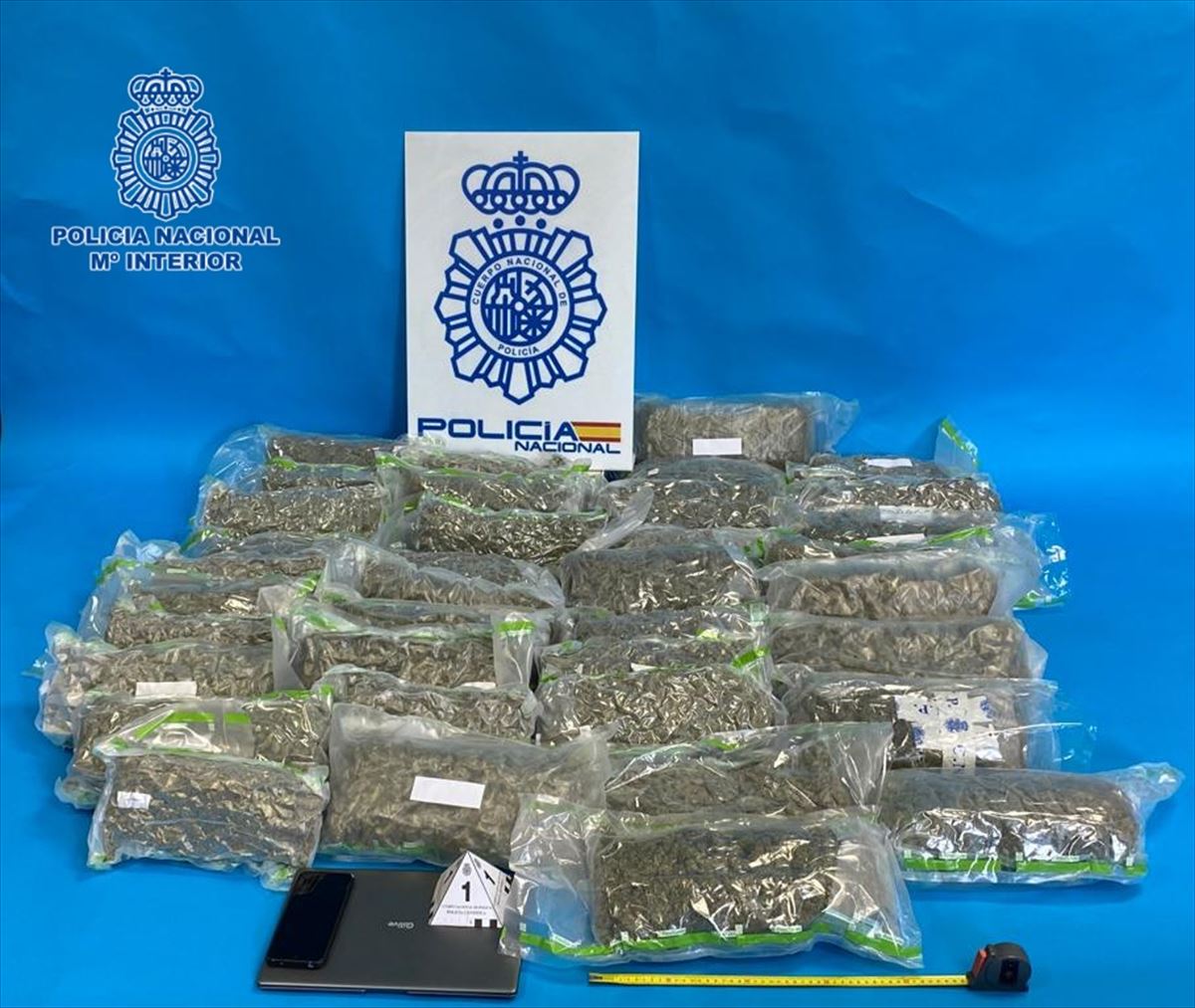 Los 19 kilos de marihuana decomisada en Irun (Gipuzkoa). Foto: Delegación del Gobierno español