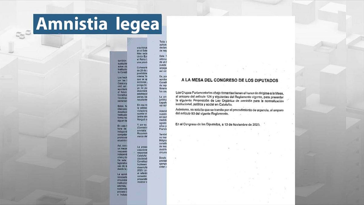 PSOEk erregistratutako amnistia legea