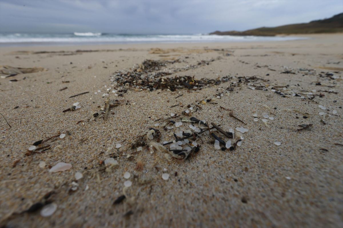 Miles de bolitas de pellets para la fabricación de plásticos en una playa gallega.