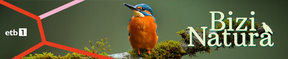 Bizi Natura